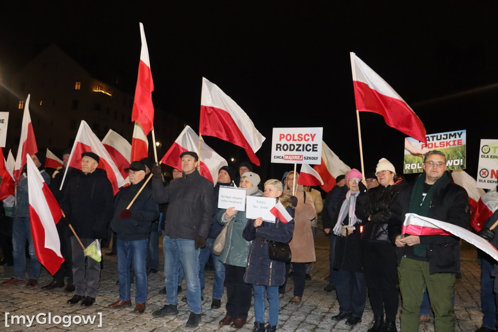 Manifestacja PiS