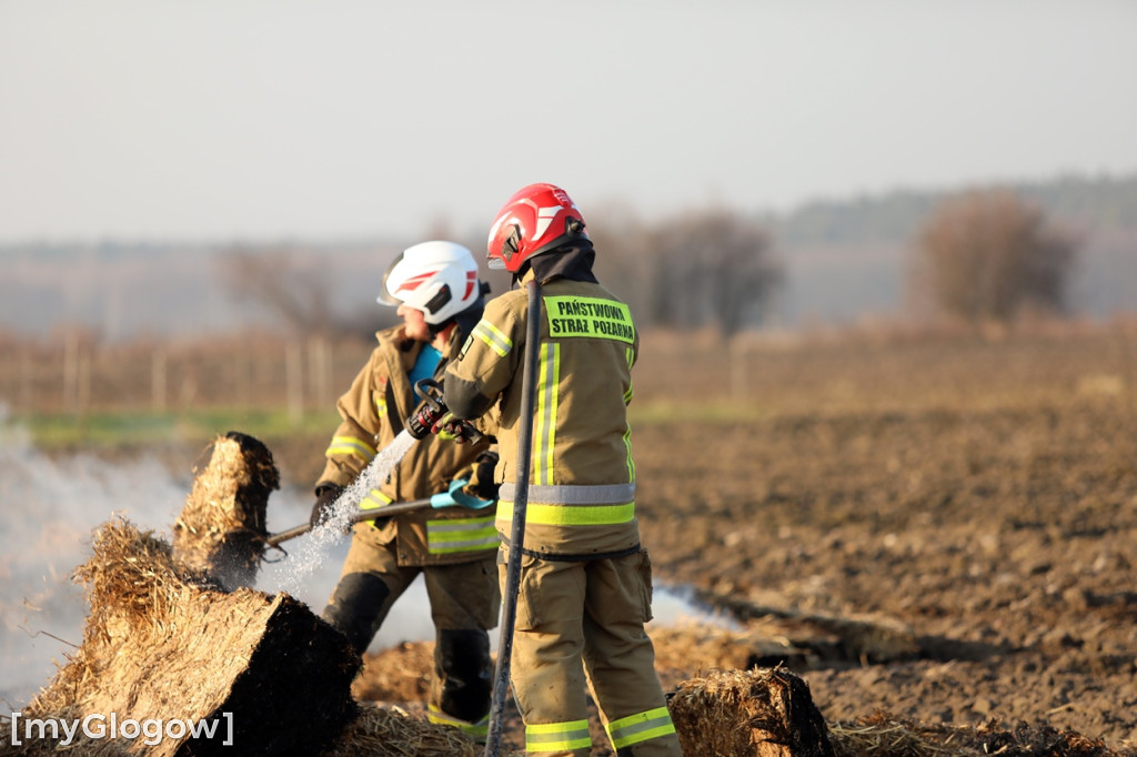 Pożar ciągnika we wsi pod Głogowem