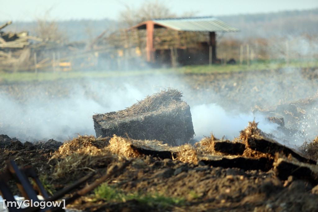Pożar ciągnika we wsi pod Głogowem