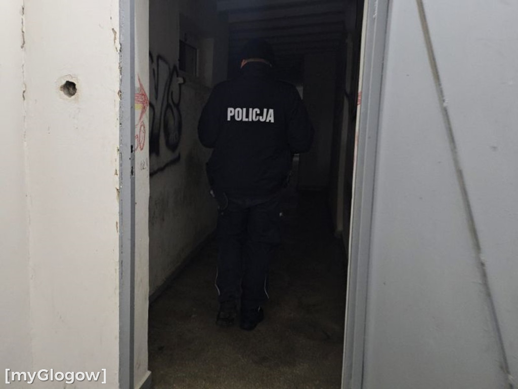 Akcja Zima