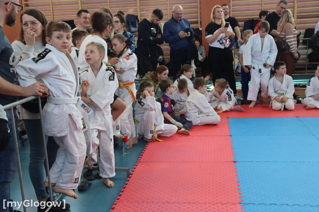 Judo w Głogowie