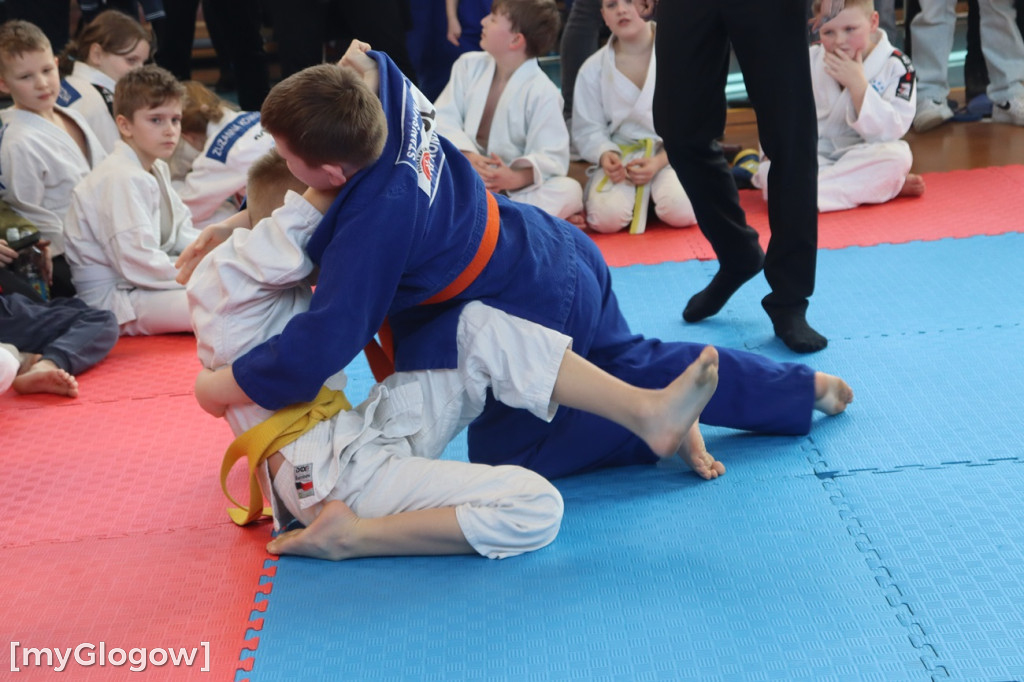 Judo w Głogowie