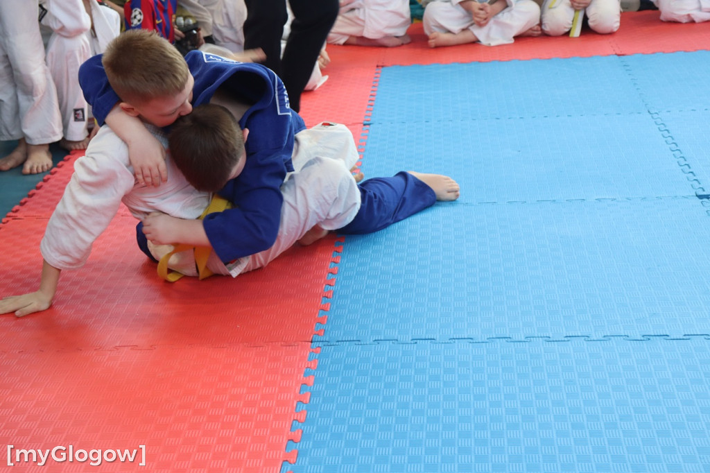 Judo w Głogowie