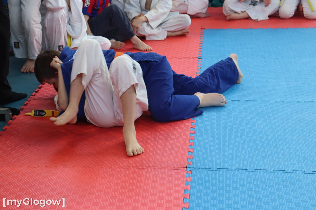 Judo w Głogowie