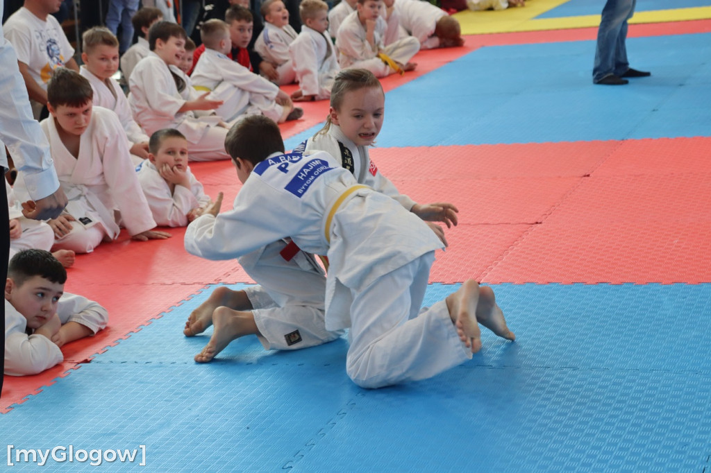 Judo w Głogowie