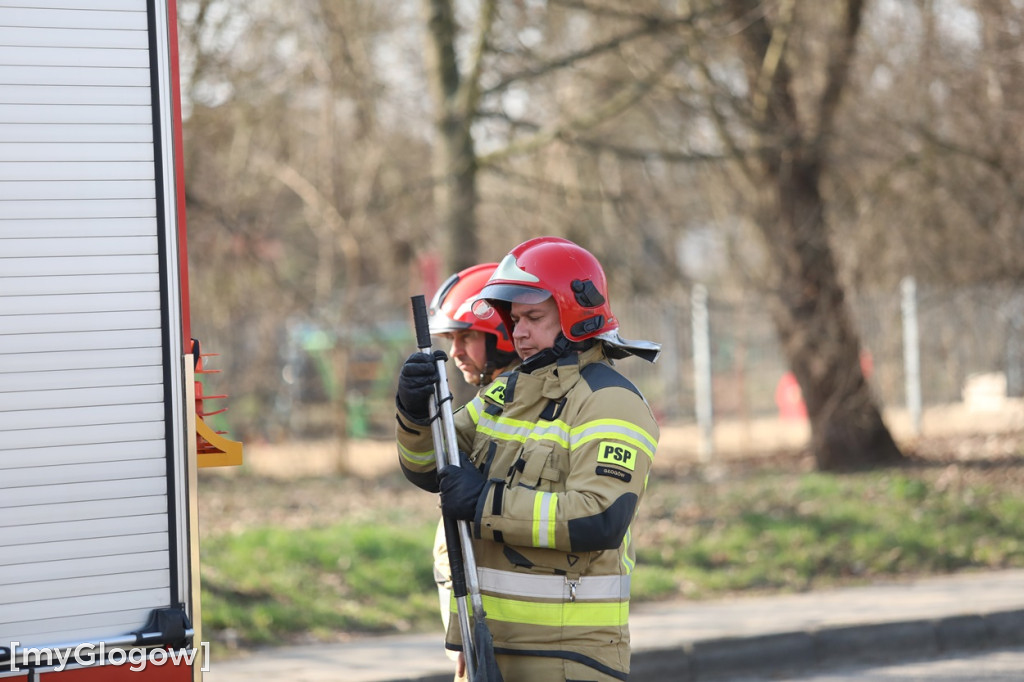 Pożar traw w Głogowie