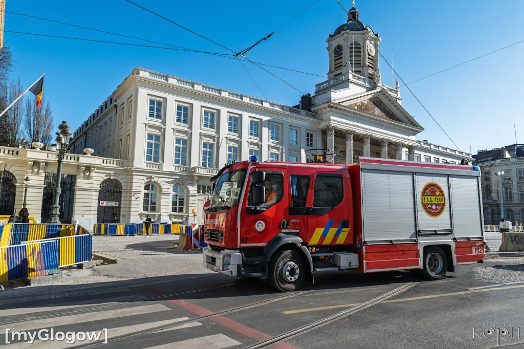 Odebrali nagrodę dla buka z Dalkowa