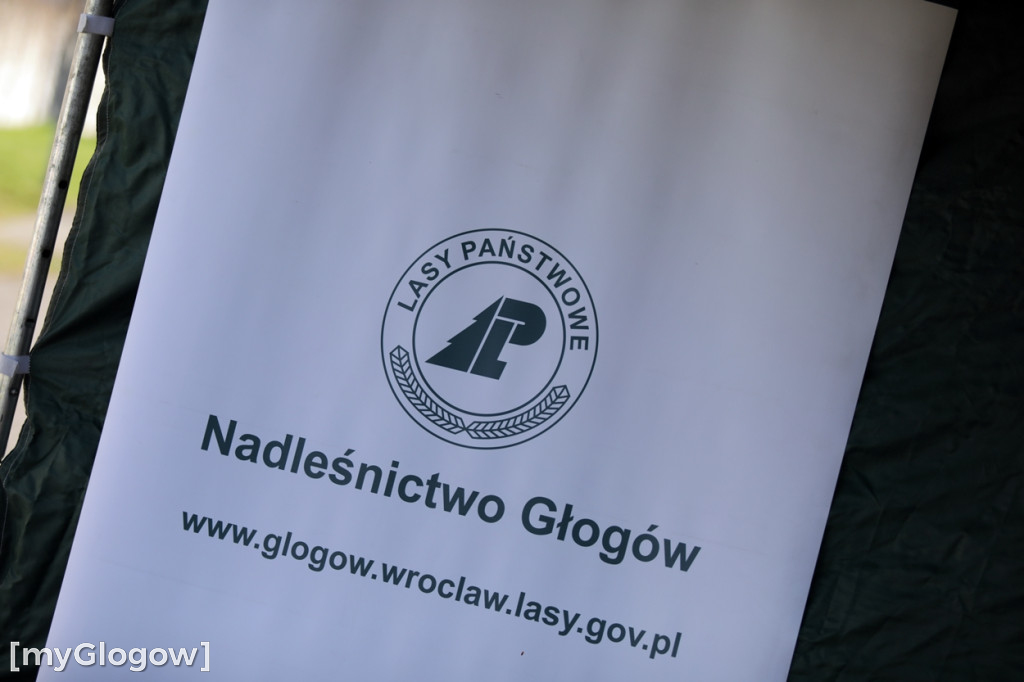 Akcja Nadleśnictwa Głogów. Sadzonka za oponkę