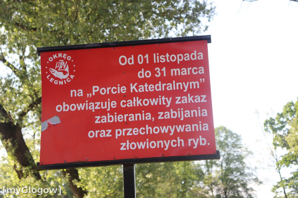 Sprzątanie Odry