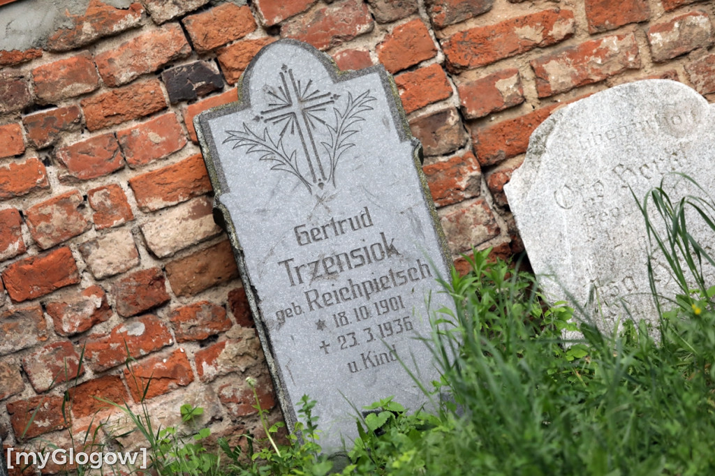 Zwiedzali ruiny kościoła św. Mikołaja w Głogowie