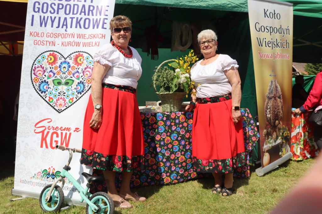 Festiwal Azali w Dalkowie