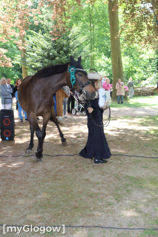 Festiwal Azali w Dalkowie