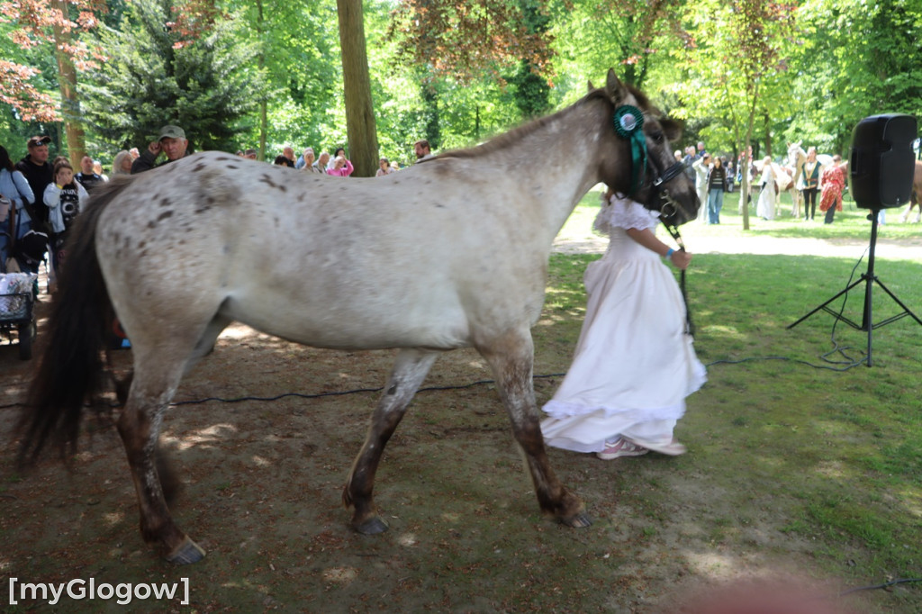Festiwal Azali w Dalkowie