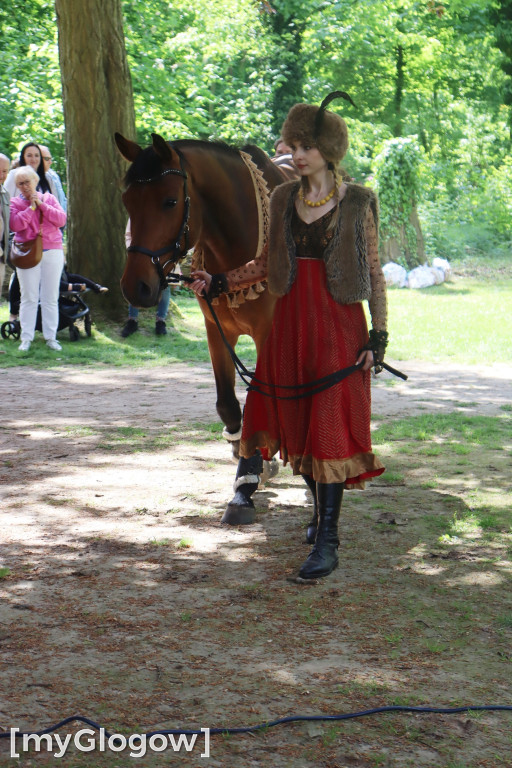 Festiwal Azali w Dalkowie