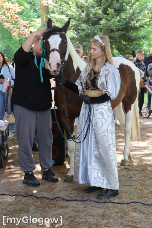 Festiwal Azali w Dalkowie