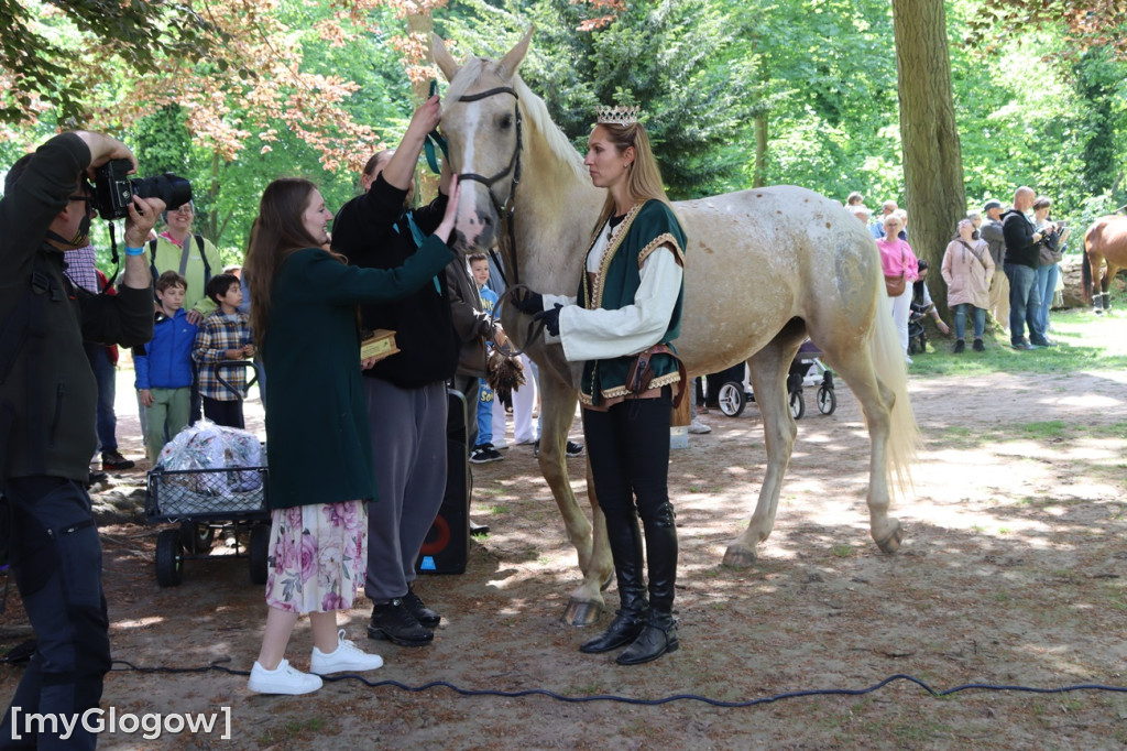Festiwal Azali w Dalkowie