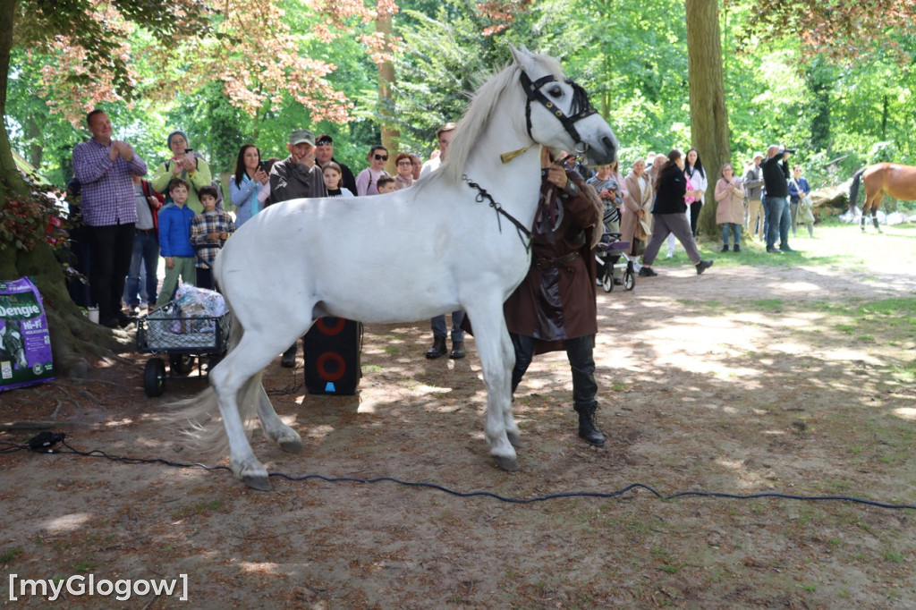 Festiwal Azali w Dalkowie