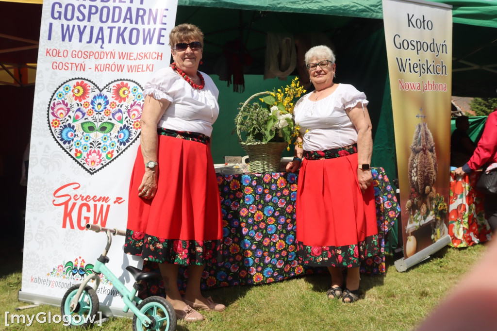 Festiwal Azali w Dalkowie
