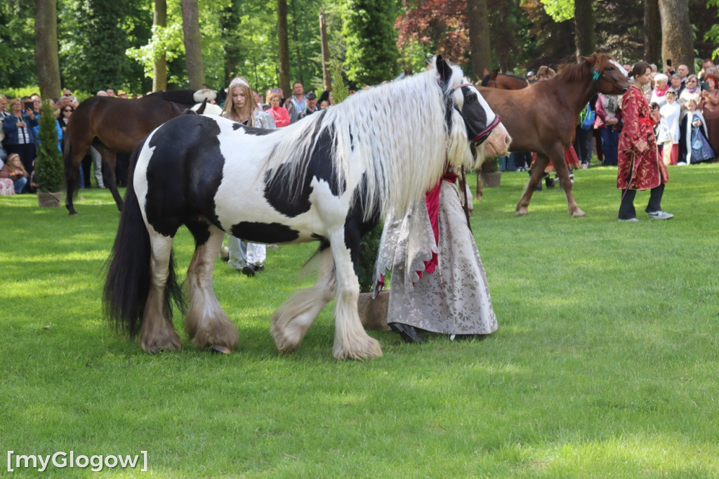 Festiwal Azali w Dalkowie