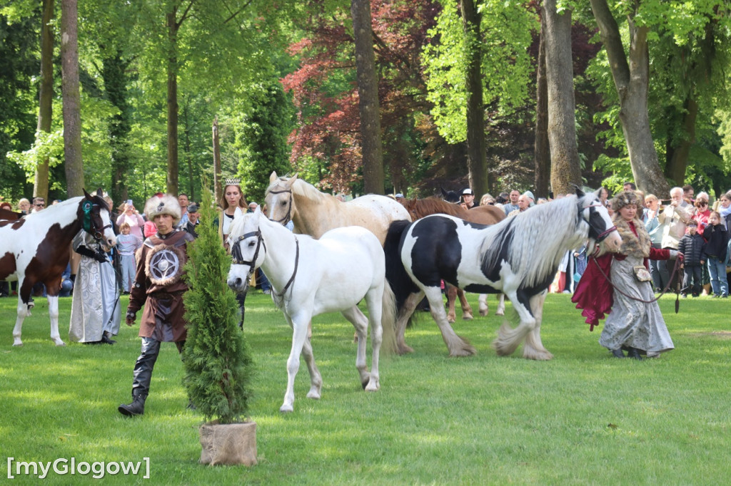 Festiwal Azali w Dalkowie