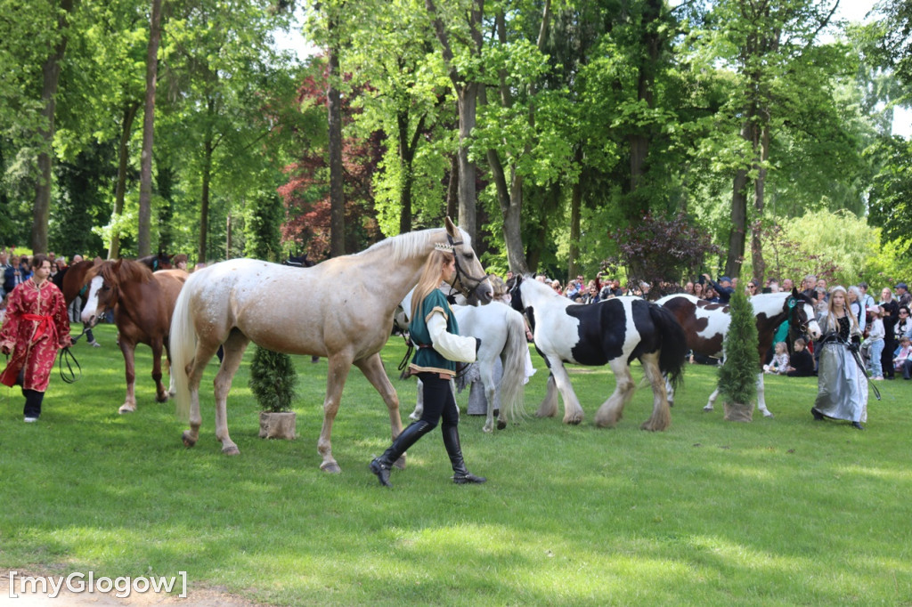 Festiwal Azali w Dalkowie