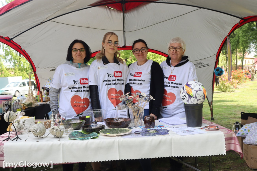 Festiwal Azali w Dalkowie