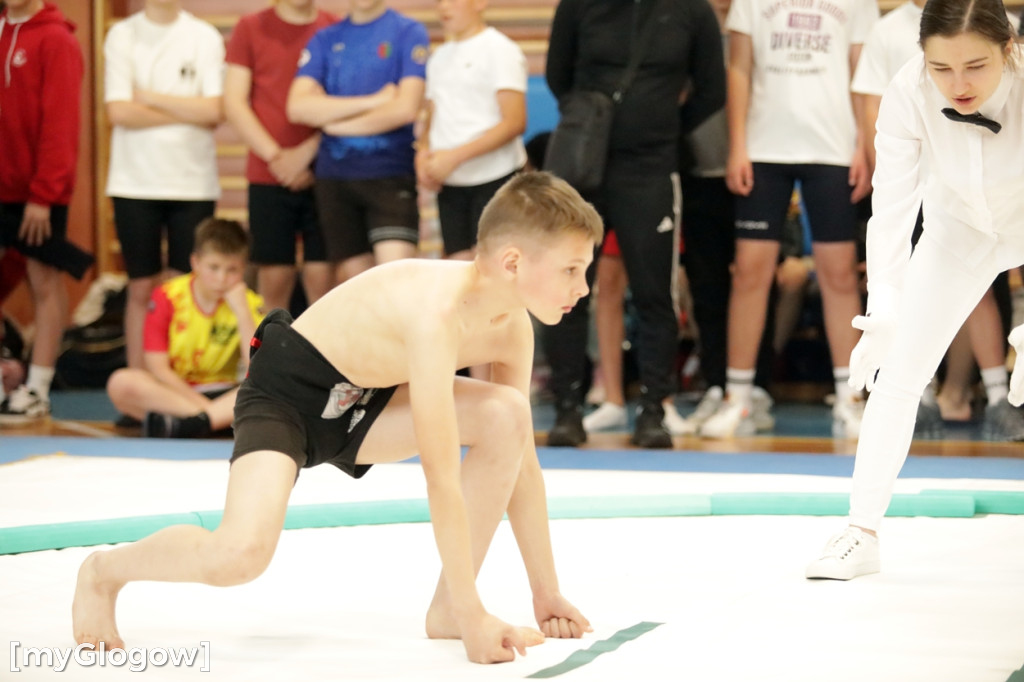 Mistrzostwa Polski sumo w Głogowie