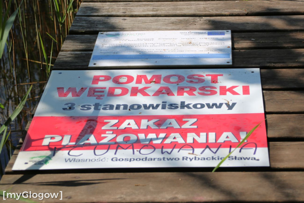 Bałagan nad jeziorem