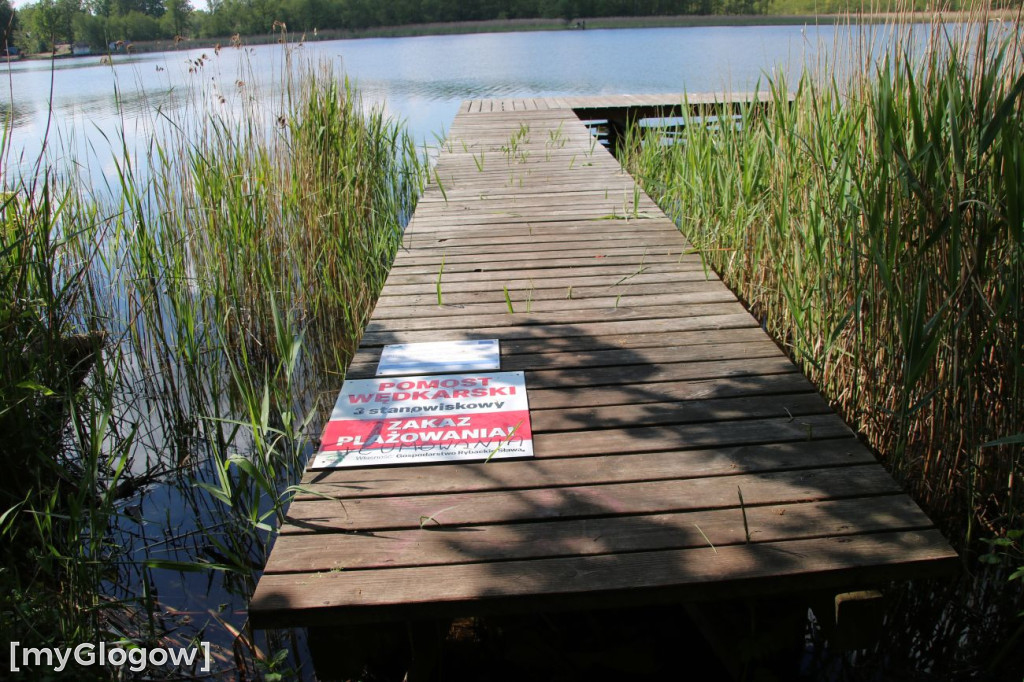 Bałagan nad jeziorem