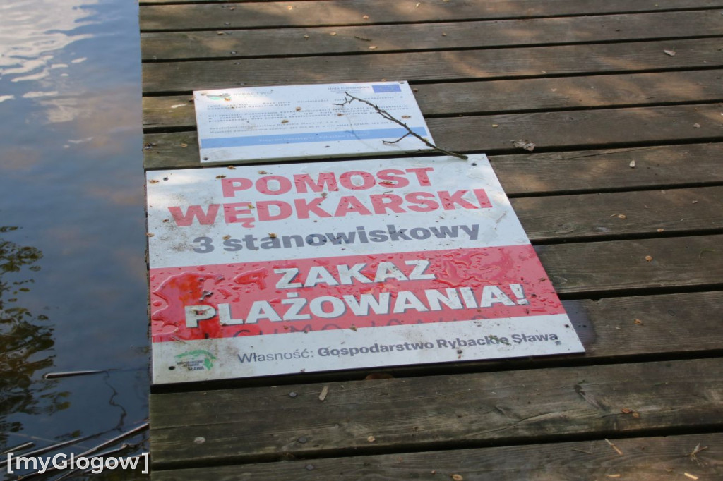 Bałagan nad jeziorem