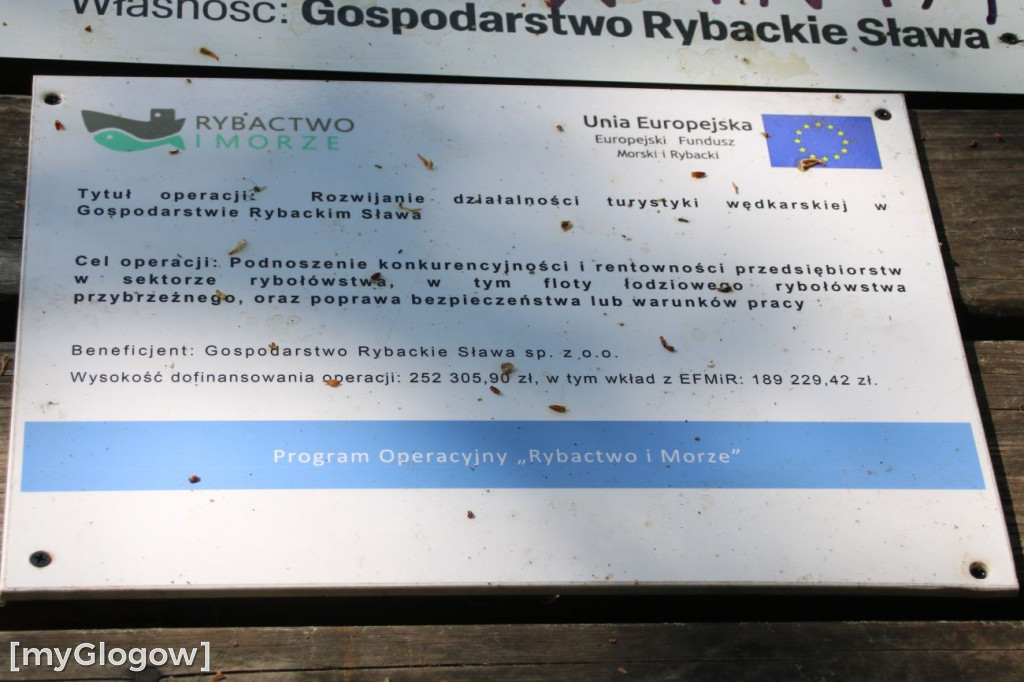 Bałagan nad jeziorem