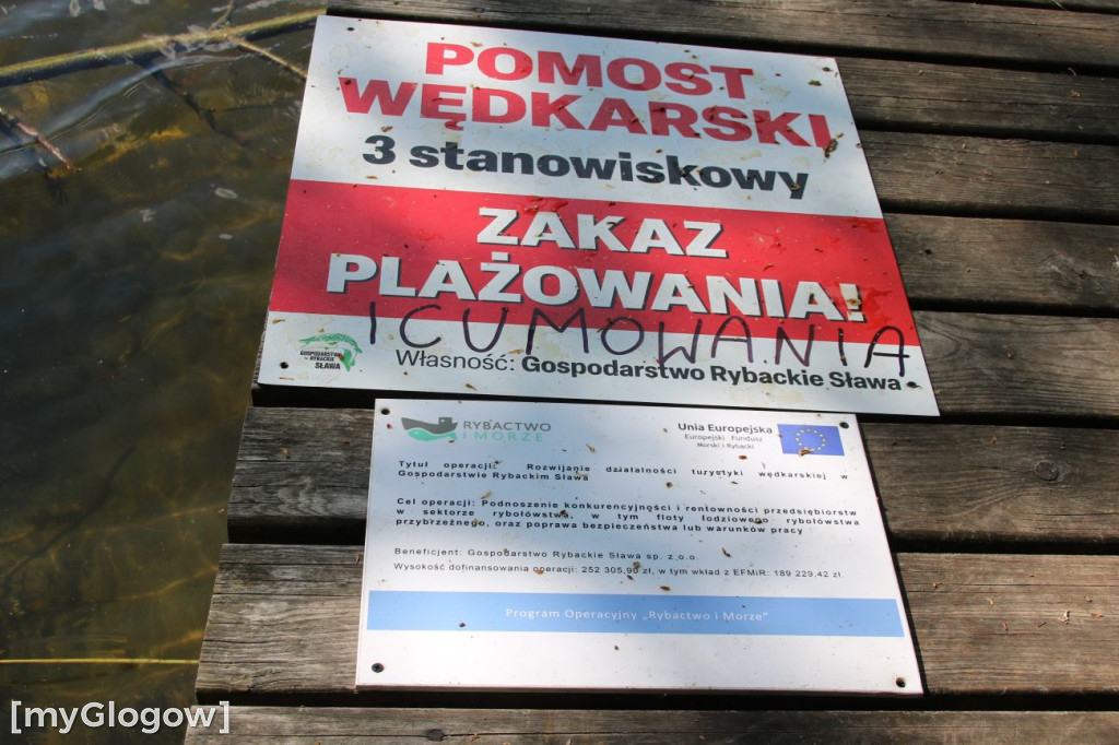 Bałagan nad jeziorem