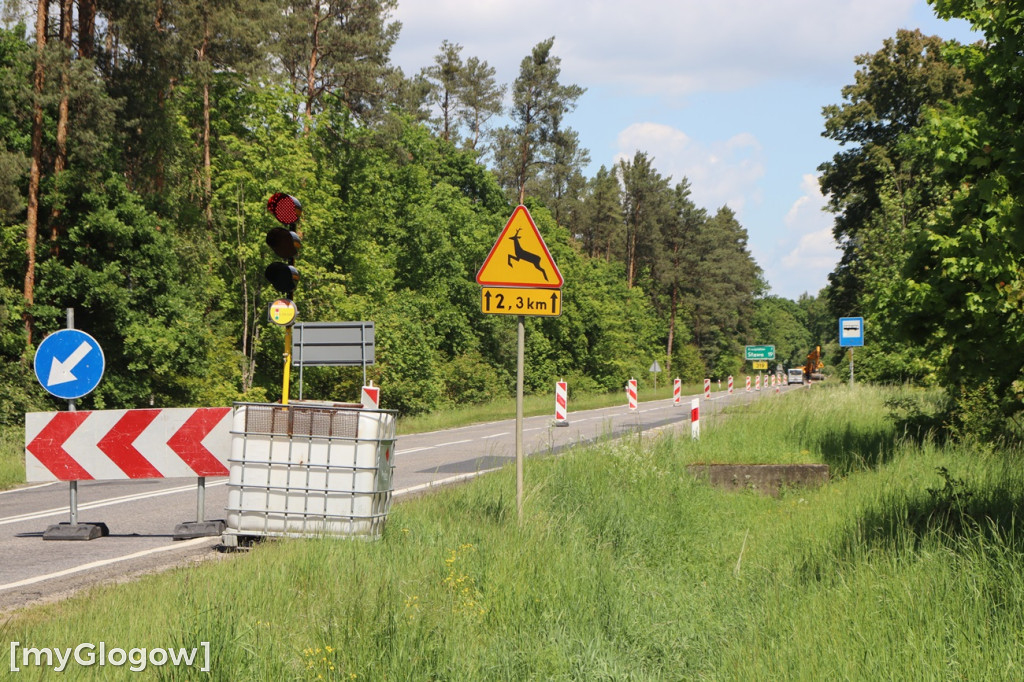 Ruch wahadłowy na trasie Głogów - Sława