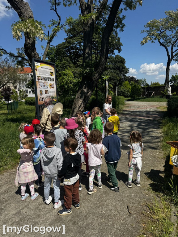 Dzień pszczół