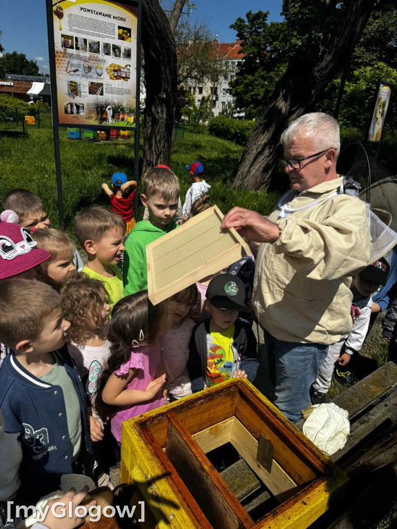 Dzień pszczół