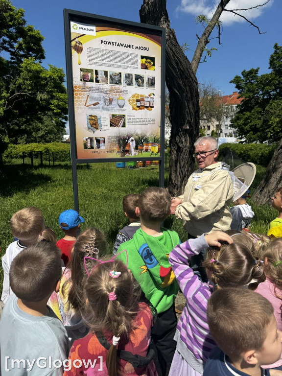 Dzień pszczół