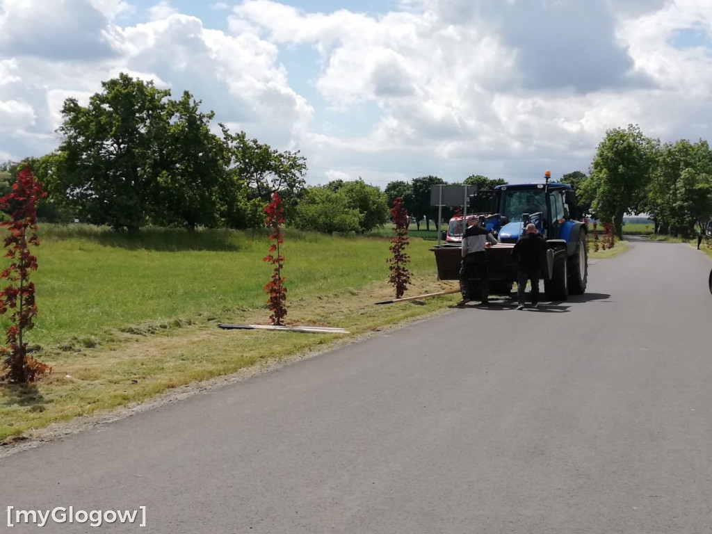 Czerna się zmienia