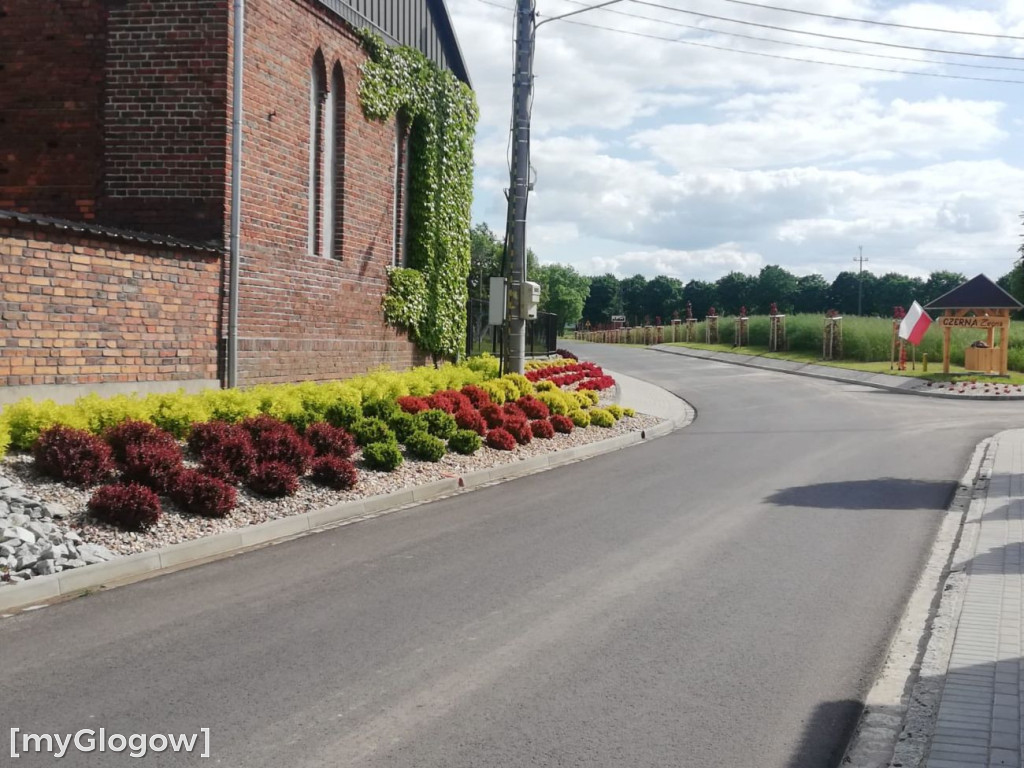 Czerna się zmienia