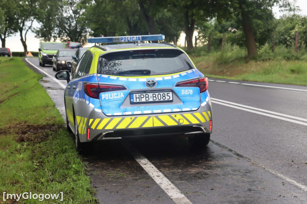Dachowanie pod Nielubią