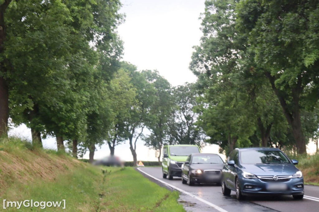 Dachowanie pod Nielubią