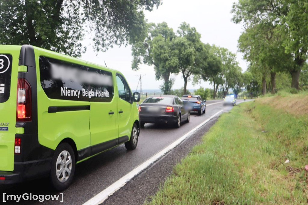 Dachowanie pod Nielubią