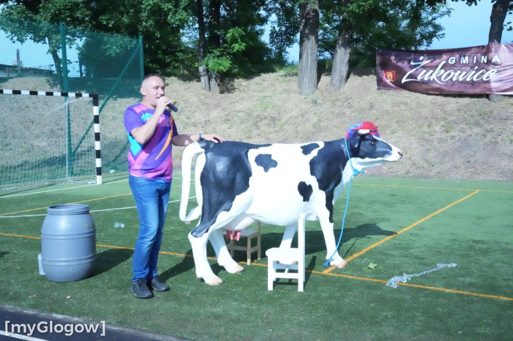 Turniej Wsi w Dobrzejowicach