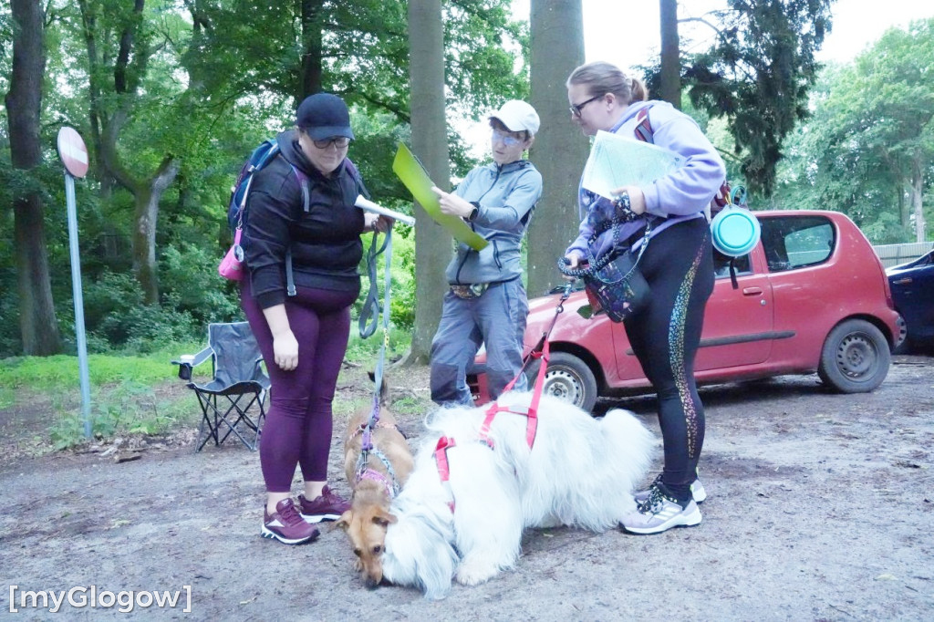 Dogtrekking w Leśnej Dolinie