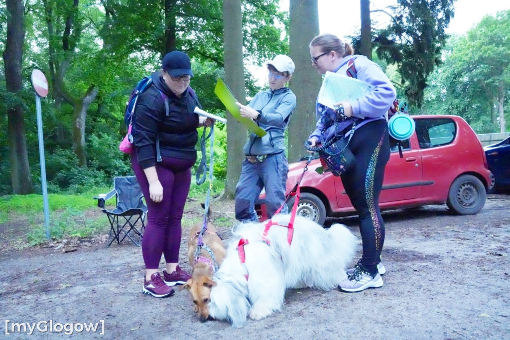 Dogtrekking w Leśnej Dolinie