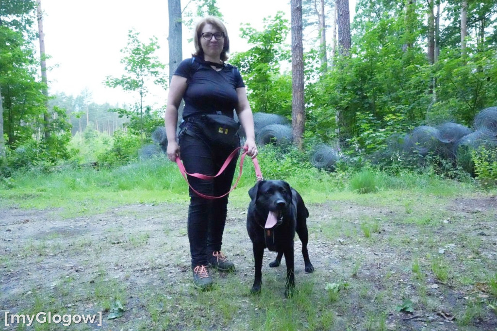 Dogtrekking w Leśnej Dolinie