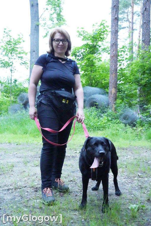 Dogtrekking w Leśnej Dolinie