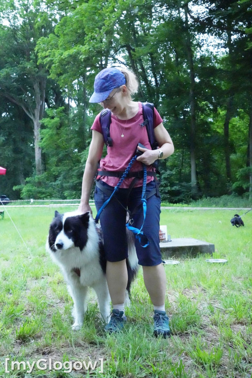 Dogtrekking w Leśnej Dolinie
