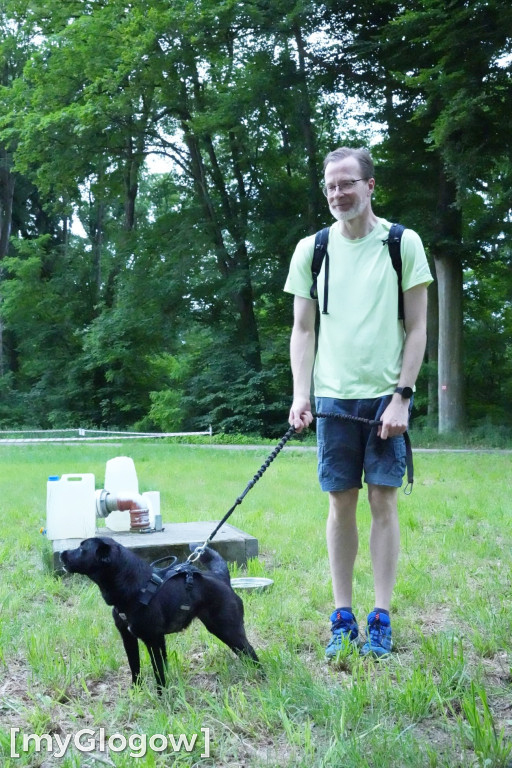 Dogtrekking w Leśnej Dolinie