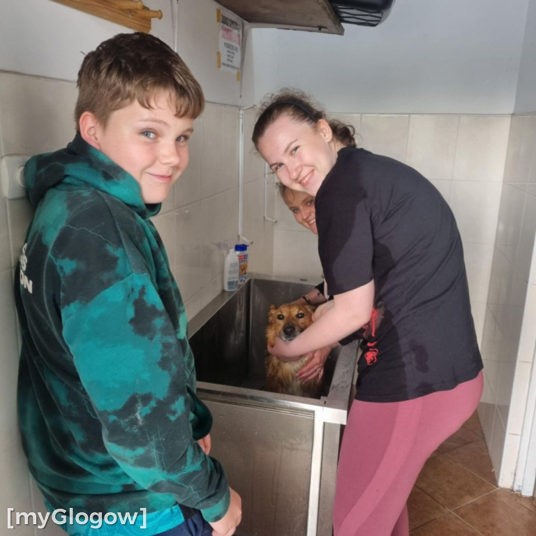 Wielka akcja kąpieli psów