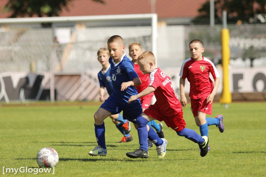 Chrobry Głogów Cup dla najmłodszych